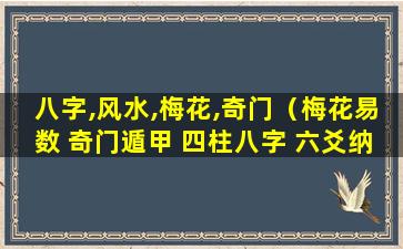 八字,风水,梅花,奇门（梅花易数 奇门遁甲 四柱八字 六爻纳甲）